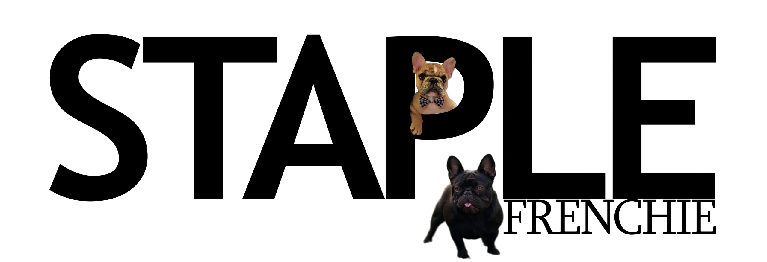 French Bulldog Puppies Near Me Find Your Perfect Companion Today french-bulldog-puppies-near-me-find-your-perfect-companion-today